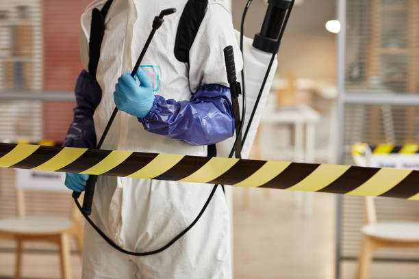 Professional Sewage Cleanup technician working in Farmington, MO